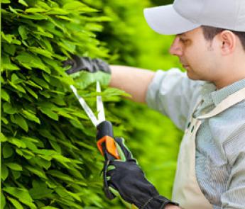 Jardinage Petit bricolage